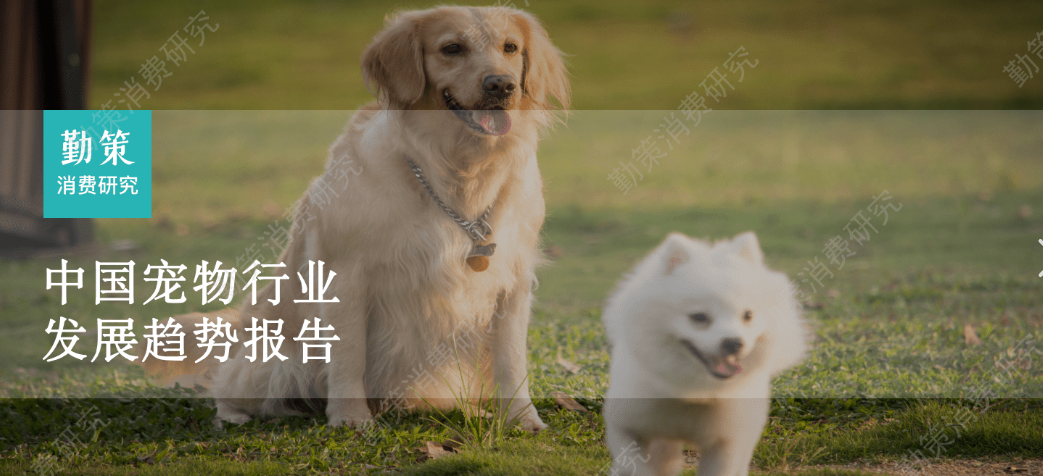 00后养宠人数约2000万 宠物经济岗位大涨30%